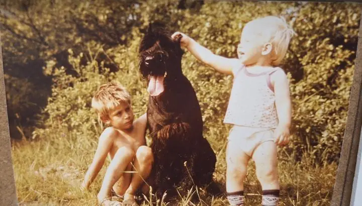 Two small boys with a large black dog on a sunny grassy hillside, the younger one reaching for the dog's ear